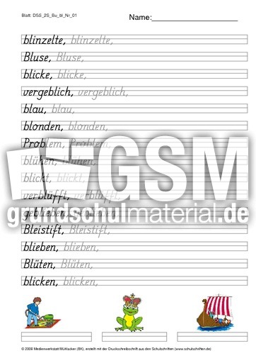 DSS_2S_Bu_bl_Nr_01.pdf